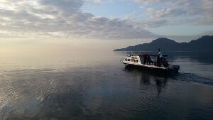 Dive into Ambon - Dive Centre