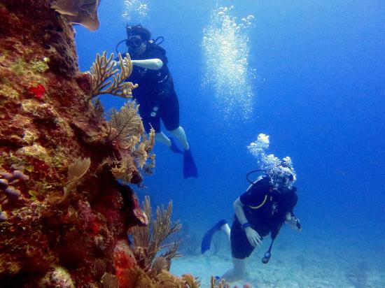 Akumal Dive Center