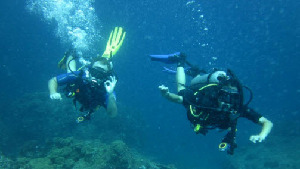 Searobin Dive Center