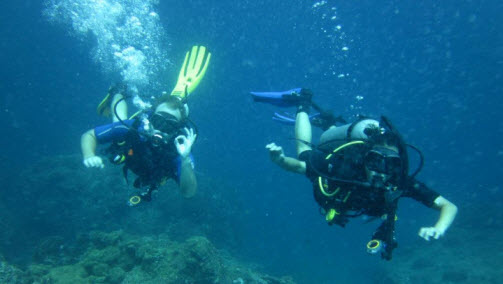 Searobin Dive Center