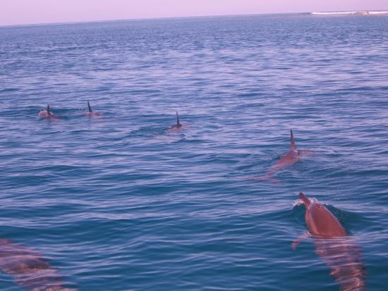 Scuba Bula Dive Centre