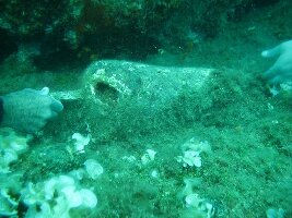 Kusadasi Turkey Dive