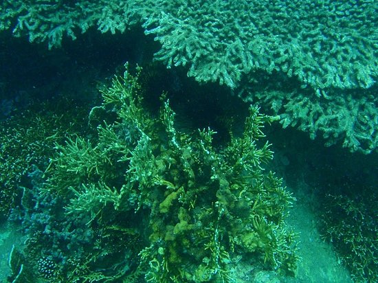 Rainbow Divers - Nha Trang Dive Centre