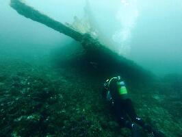 Best Spot Azores Dive Center