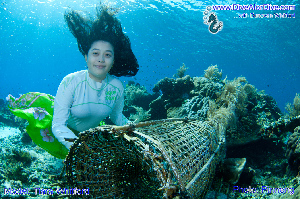 Dive Alor Dive