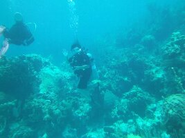 George Town Bahamas Dive