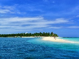 Dive Society Malapascua