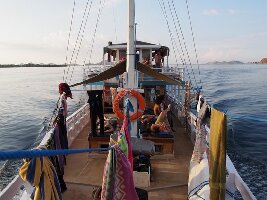 Dive Komodo - Day Trips