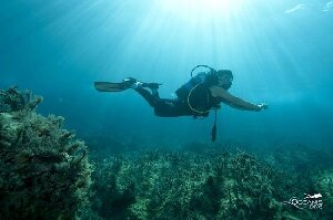 Platanias Greece Dive