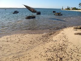 Tofo Mozambique Dive