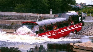 Lady Dive Tours
