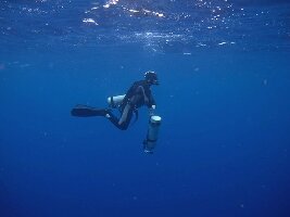 La Romana Dominican Republic Dive