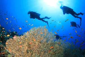 El Dive