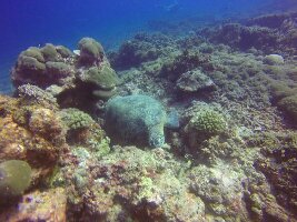 3W Dive Gili Air