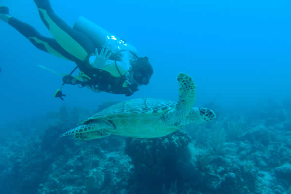 Mahahual Dive Centre