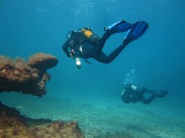 Dive Academy Gran Canaria