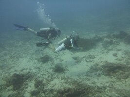Blue Marlin Dive Gili Meno