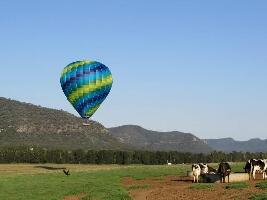 Windsor Australia Hot Air Balloon