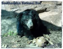 United States Zoological Park