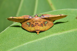 Cahuita Costa Rica Park