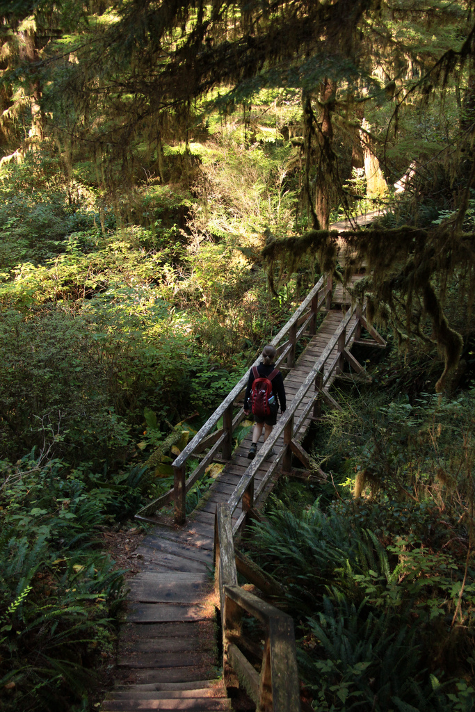 Pacific Rim National Park