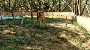 Sarthana National Park