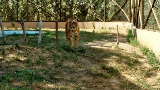 Sarthana National Park