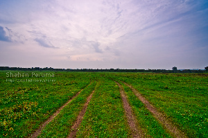 Kaudulla National Park