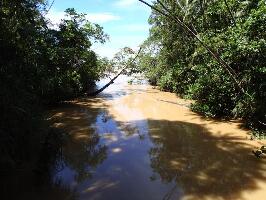 Bintulu Sarawak National Park