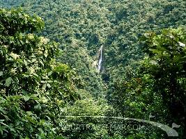 Orosi Costa Rica Park