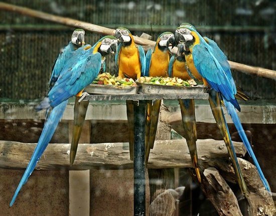 National Zoological Park of Delhi