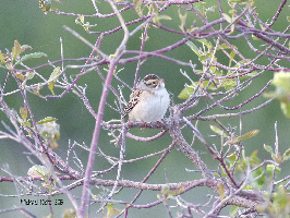 Radium Hot Springs Canada National Park
