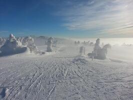 Natrudstilen Norway Ski