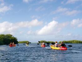 Mangrove Information Center Kayak and Snorkel Excursions