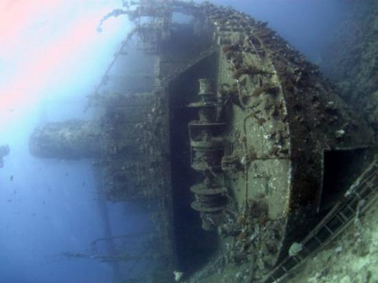New Horizons Snorkel and Dive Centre