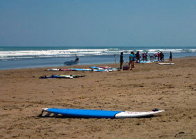 Bali Ocean Surf