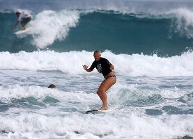 Bobo Surfs Up Surf School