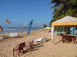 Weligama Surf Tours