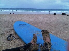 Wave Rider Surf School
