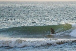 Coimbra District Portugal Surf