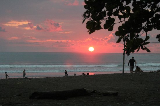 Sunset Surf Dominical - Day Lessons