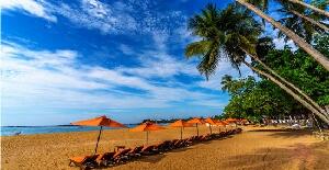 Aloha Sun Surf School