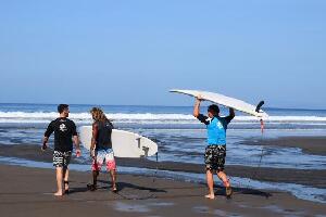 Tiger Surf School
