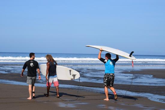 Tiger Surf School