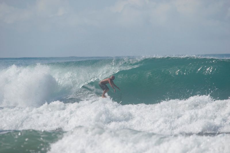 Dominical Surf School