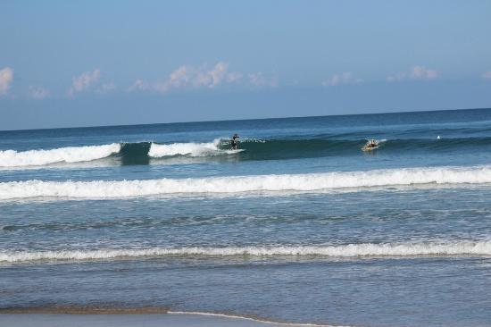 Nosara Tico Surf School