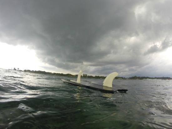 Desu de Bali Surf - Surfing Courses