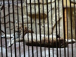 Zoo Ostrava