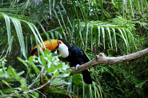 La Fleche France Zoo