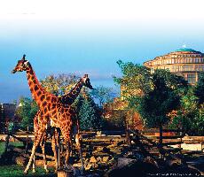Wroclaw Poland Zoo